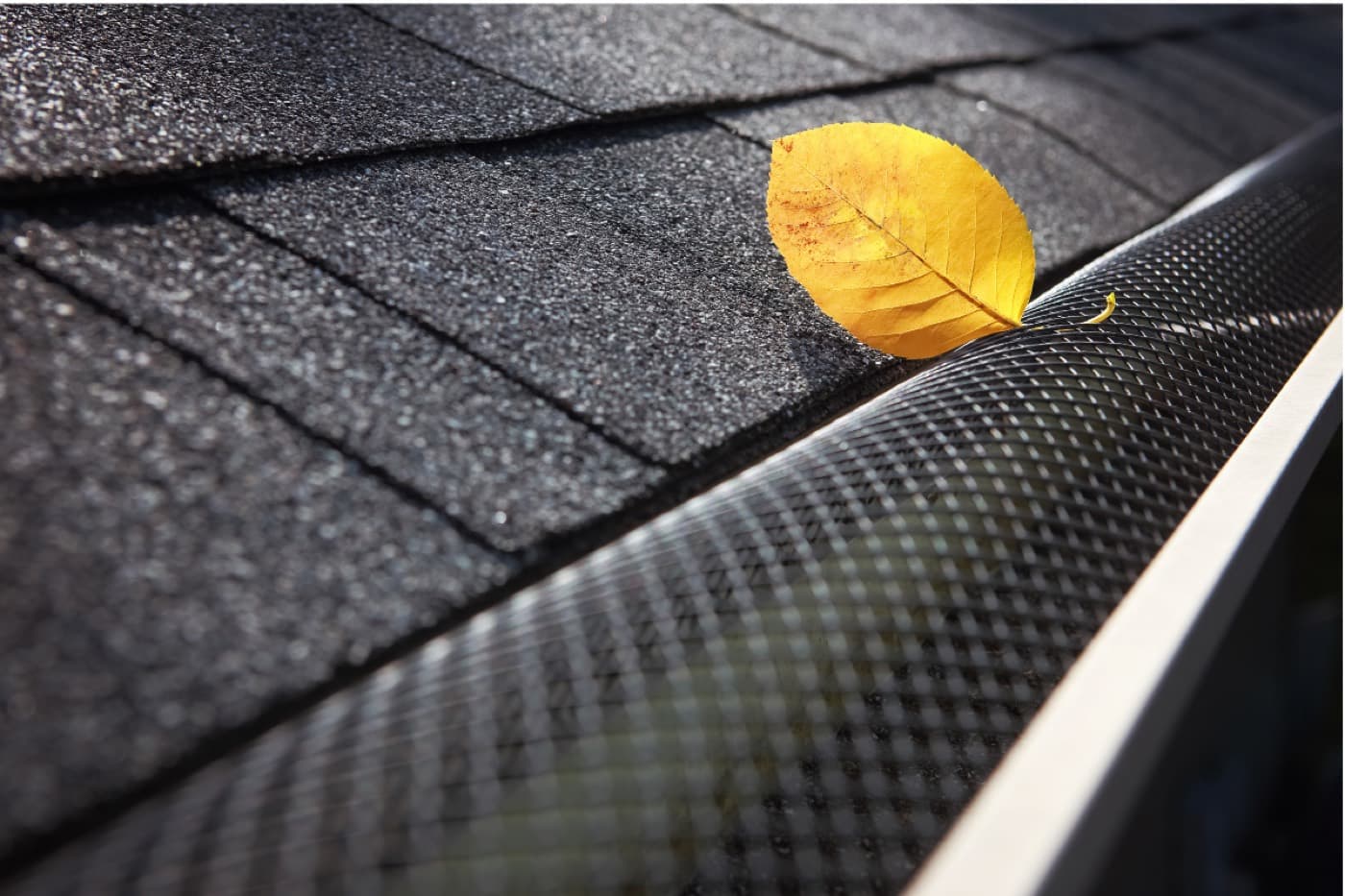 A gutter with mesh fitted over it, keeping leaves out.